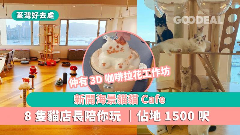 【荃灣好去處】新開海景貓貓Cafe 8隻貓店長陪你玩 仲有3D咖啡拉花工作坊
